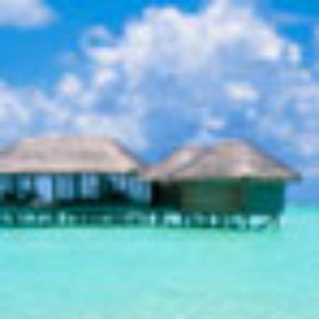 Odisha Sweets and Snacks